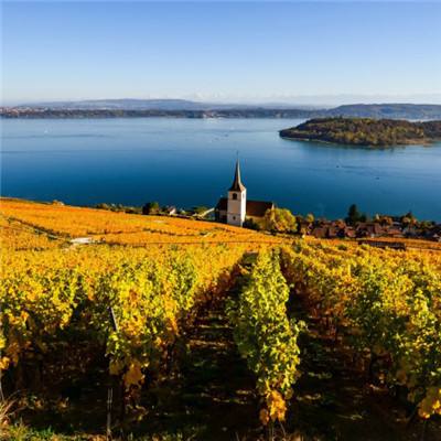 8188www威尼斯手机app下载