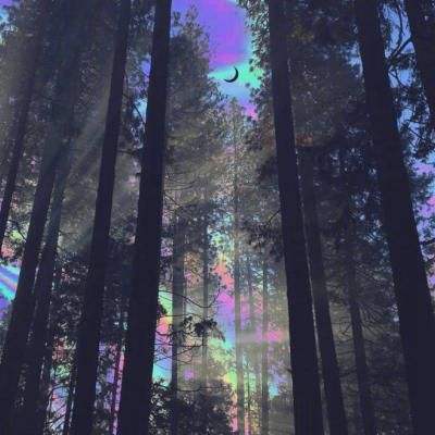 皇冠体育手机版