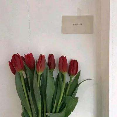 皇冠体育手机版